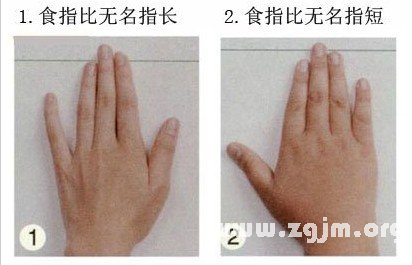 Ring finger and index finger length ratio predictor of health