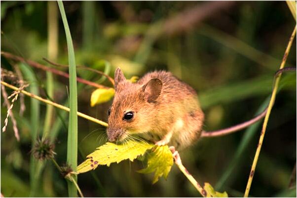 夢到了女人換了三次衣服是好是壞_周公解夢官網