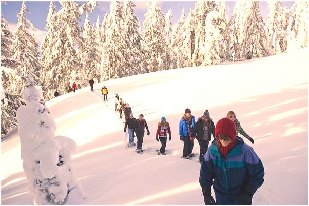 夢見上廁所碰到屎怎么回事_周公解夢官網