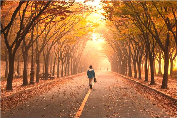 夢到了逛街上廁所排特別長的隊有什麼意思_周公解夢官網