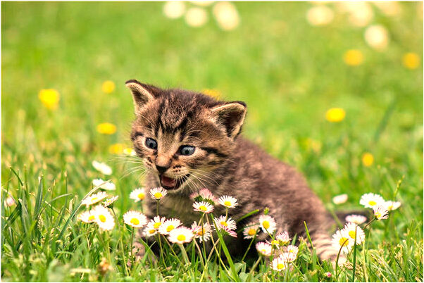 夢到了老婆拿開水燙我是什麼啟示_周公解夢官網