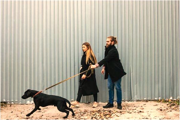 夢到自己沒錢還請別人吃有何寓意_周公解夢官網