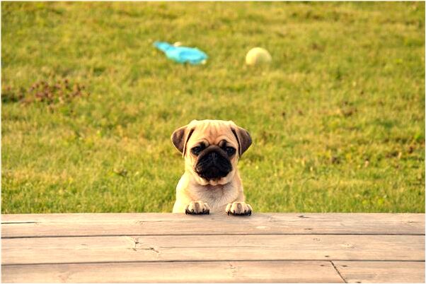 夢見手指的側面都長毛毛怎么說_周公解夢官網