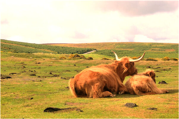 夢見摔傷見血是什麼預兆？_周公解夢官網