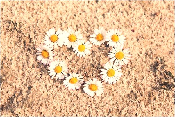 夢到了買了兩部諾基亞非智慧型機是好的徵兆嗎_周公解夢官網