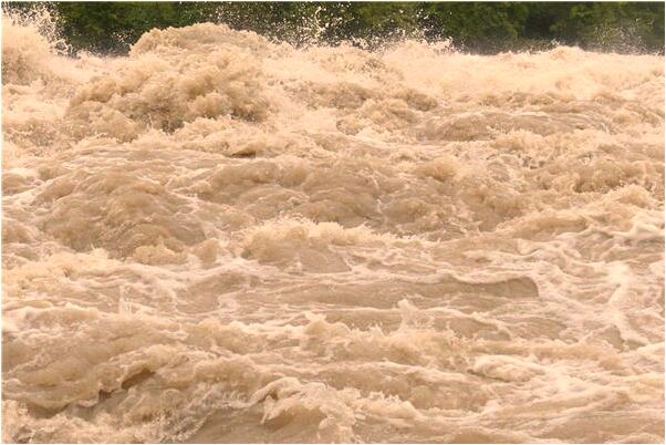 夢到老闆叫我回去上班預示了什麼_周公解夢官網