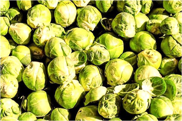 夢到撿到死人身邊的錢預兆了什麼嗎_周公解夢官網