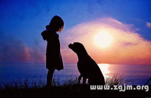 怎樣看運程?是以太陽星座還是上升星座為準_十二星座