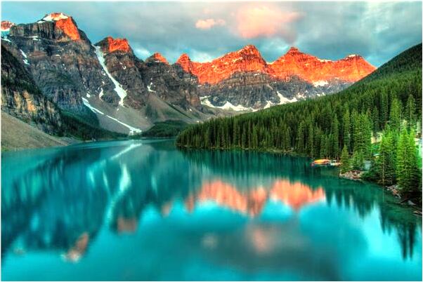 夢到了毛毛蟲爬了滿身怎么回事_周公解夢官網