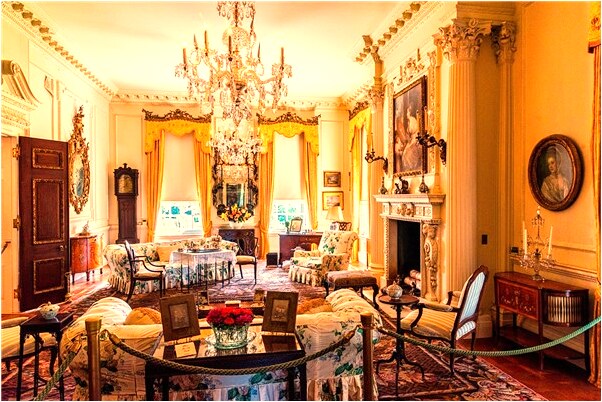 夢到了采涼草是吉兆嗎?_周公解夢官網