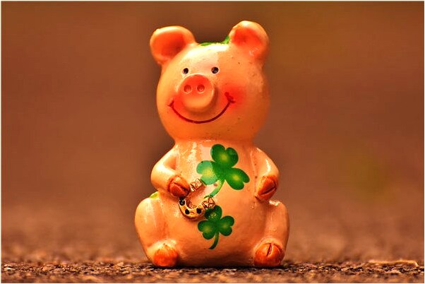 夢到自己被蜥蜴咬預示什麼_周公解夢官網