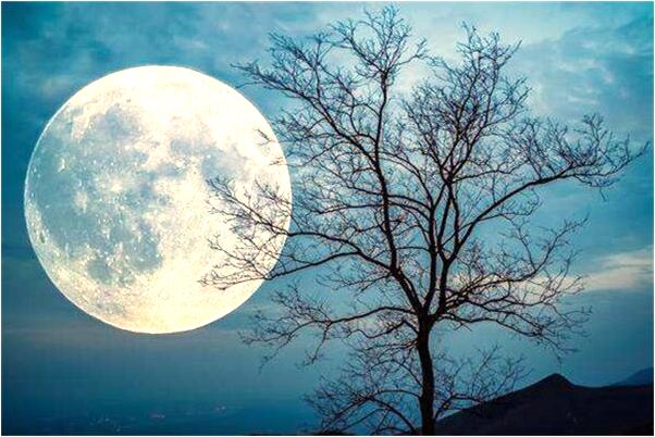 夢見衛生棉鬆了是啥預兆_周公解夢官網