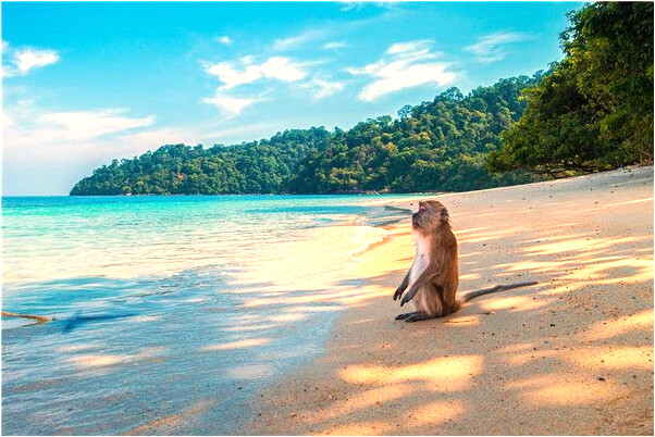 夢到了打自己家女兒什麼預兆_周公解夢官網