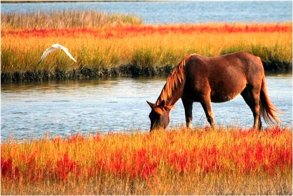 夢到了情人給我解釋什麼預兆_周公解夢官網