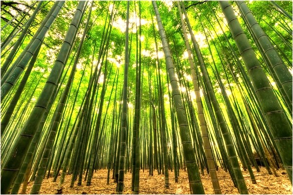 夢到有人介紹工作是咋回事_周公解夢官網