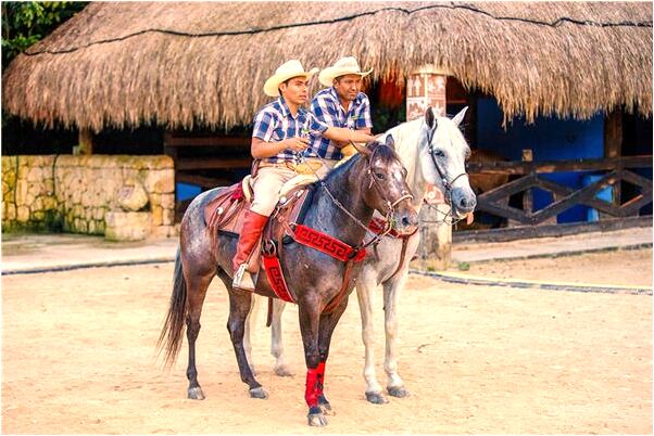 夢到了包被偷走了有什麼徵兆_周公解夢官網