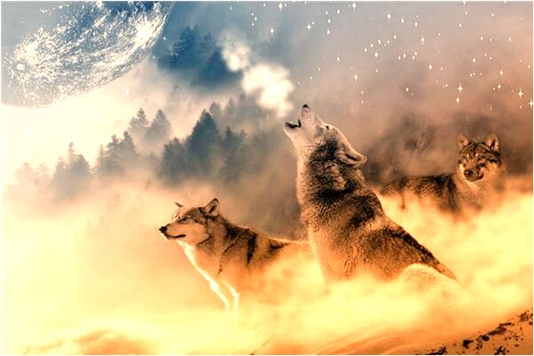 夢見廁所很髒下不去腳是什麼啟示_周公解夢官網