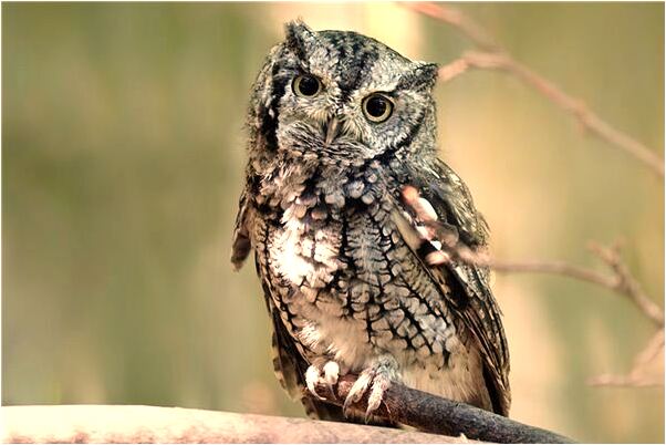 夢到棺材並且裡面有屍體意味什麼_周公解夢官網