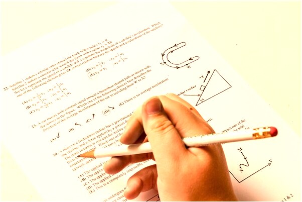 夢見三隻兔子和一隻的貓會怎么樣_周公解夢官網