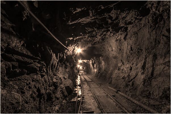 夢到了四隻眼睛的貓咪是凶兆還是吉兆_周公解夢官網