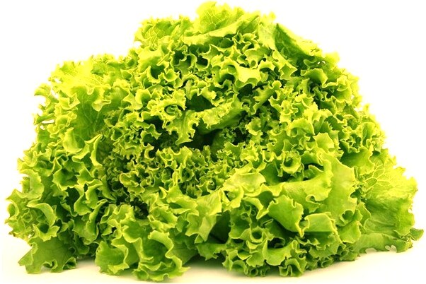 夢到了自己哥哥被人推下懸崖有何寓意_周公解夢官網