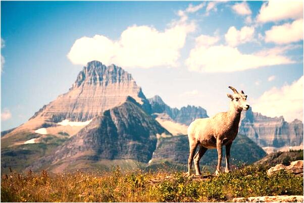 夢到抱別的女人是怎么回事_周公解夢官網