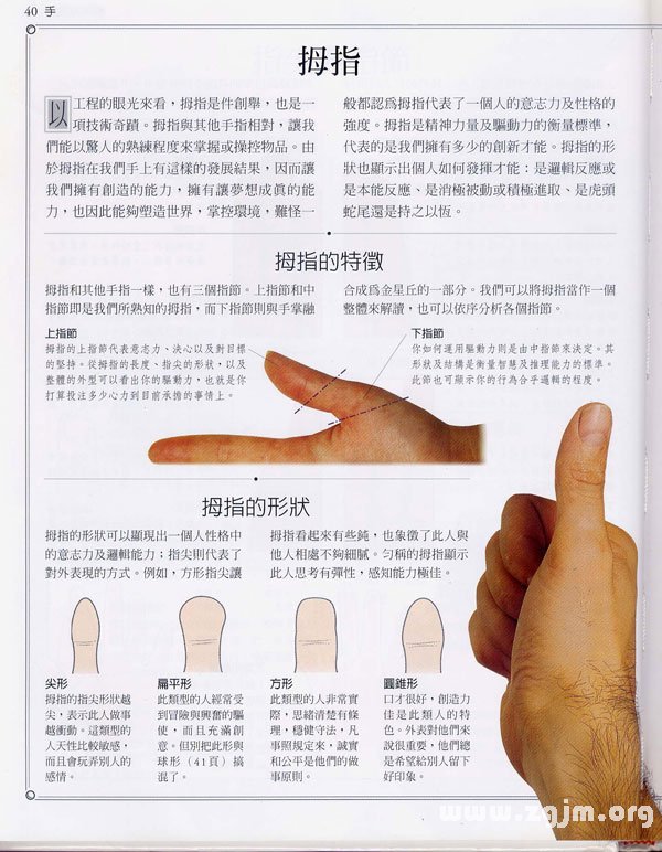 The "palm learning" : the thumb