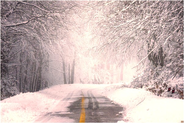 夢見買了一瓶白酒又退了是什麼兆頭_周公解夢官網