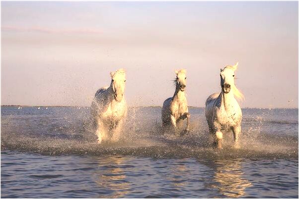夢見朋友十八樓跳下什麼寓意_周公解夢官網