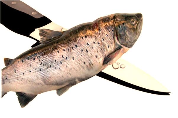 夢到挖到死人錢包怎么回事_周公解夢官網