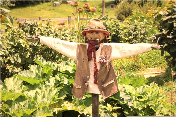 夢到了父母魂魄離體又歸有什麼意思嗎_周公解夢官網