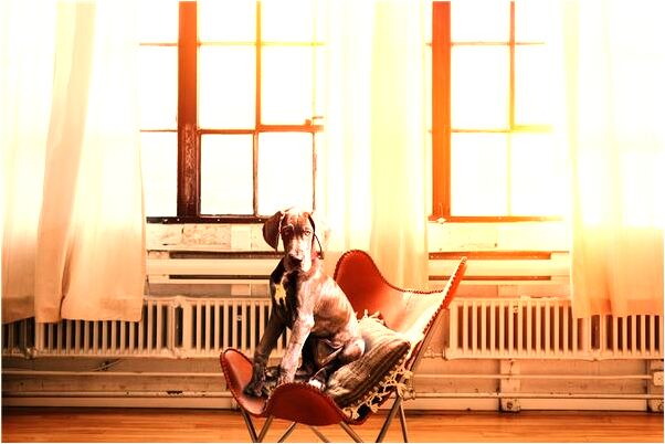 夢到了欠錢不還的人會是什麼預兆_周公解夢官網