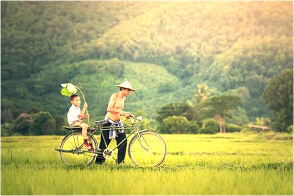 夢到情人他們一家去旅遊怎么說_周公解夢官網