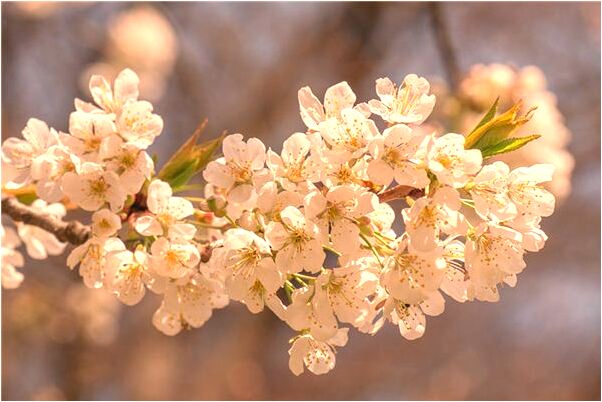 夢到車站等車遇搶包是好的徵兆嗎_周公解夢官網
