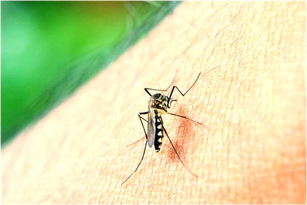 夢到忘記周五沒課在師姐家白等有什麼徵兆_周公解夢官網