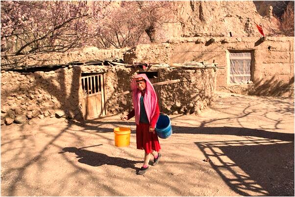 夢見蝦螃蟹魚蛇是什麼啟示_周公解夢官網