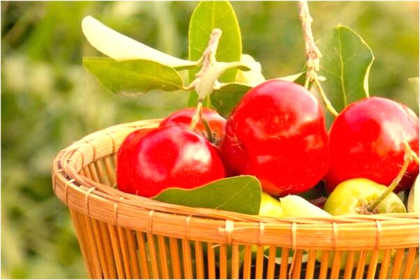 夢見小男孩尿尿在我身上意味什麼_周公解夢官網