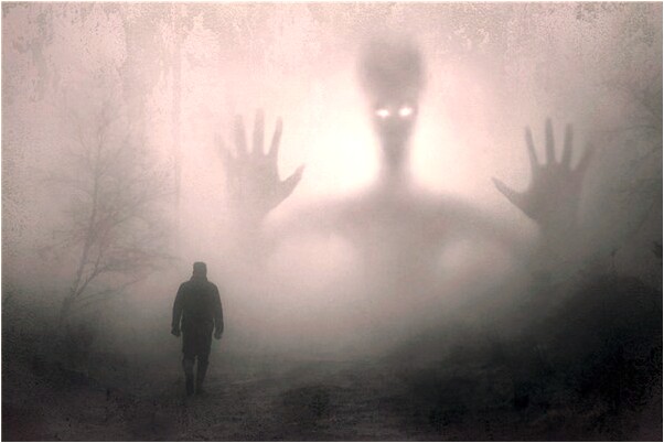 夢到蒼蠅被自己用細棍戳通了會是什麼預兆_周公解夢官網