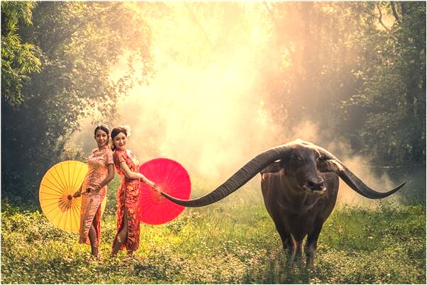 夢到了和客戶交談有什麼寓意嗎_周公解夢官網