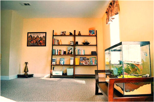 夢見離家出走了十二天是吉兆嗎?_周公解夢官網