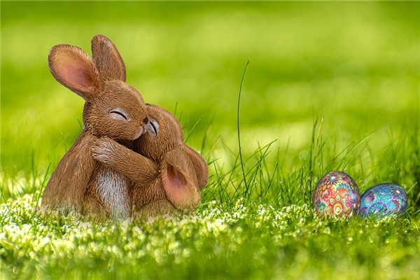 夢到了兔子窩的預兆_周公解夢