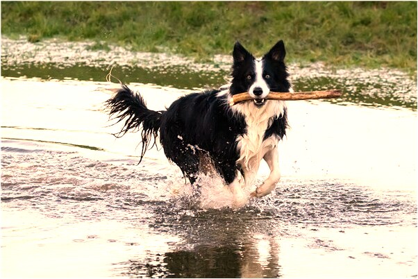 夢到了為聚會我們重複走了兩次預示什麼_周公解夢官網