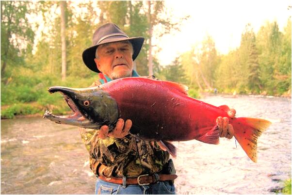 夢見包自己會飛意味著什麼_周公解夢官網