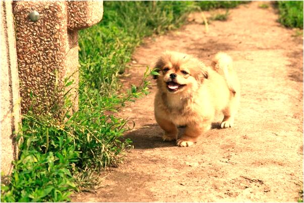 夢到災難又化解了意味什麼_周公解夢官網