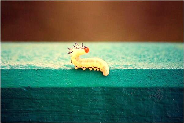 夢到空中火光是咋回事_周公解夢官網