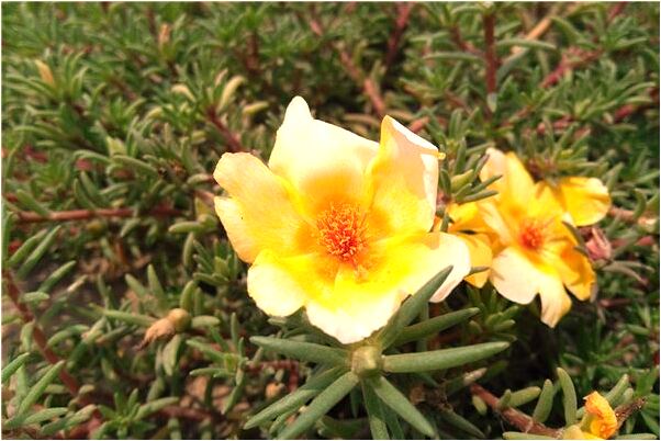 夢見拆散我和我女朋友意味著什麼_周公解夢官網