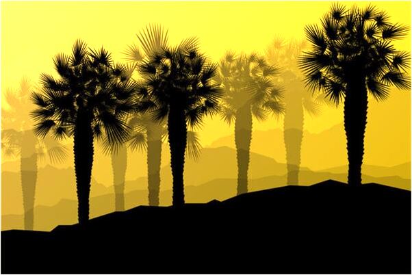 夢見我營志氣低落也沒跑會怎么樣_周公解夢官網