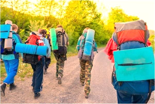 夢到夢蛇的徵兆是什麼啟示_周公解夢官網