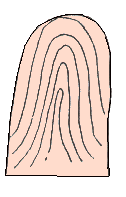 O kay emperor palms fortune-telling diagram of 07 _ to visit fortune-teller accomplishment