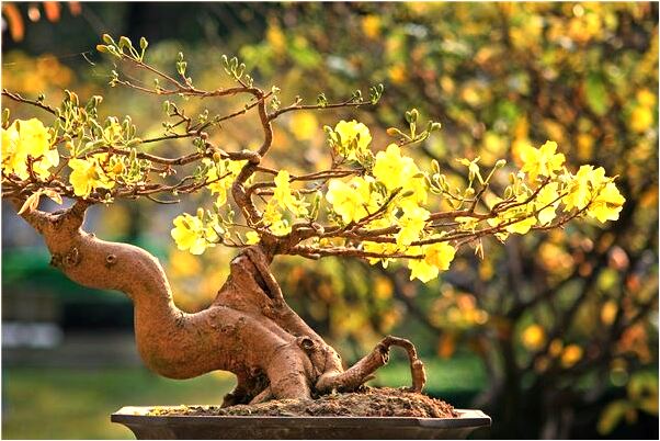 夢見牽手不認識的女人奔跑有什麼徵兆_周公解夢官網